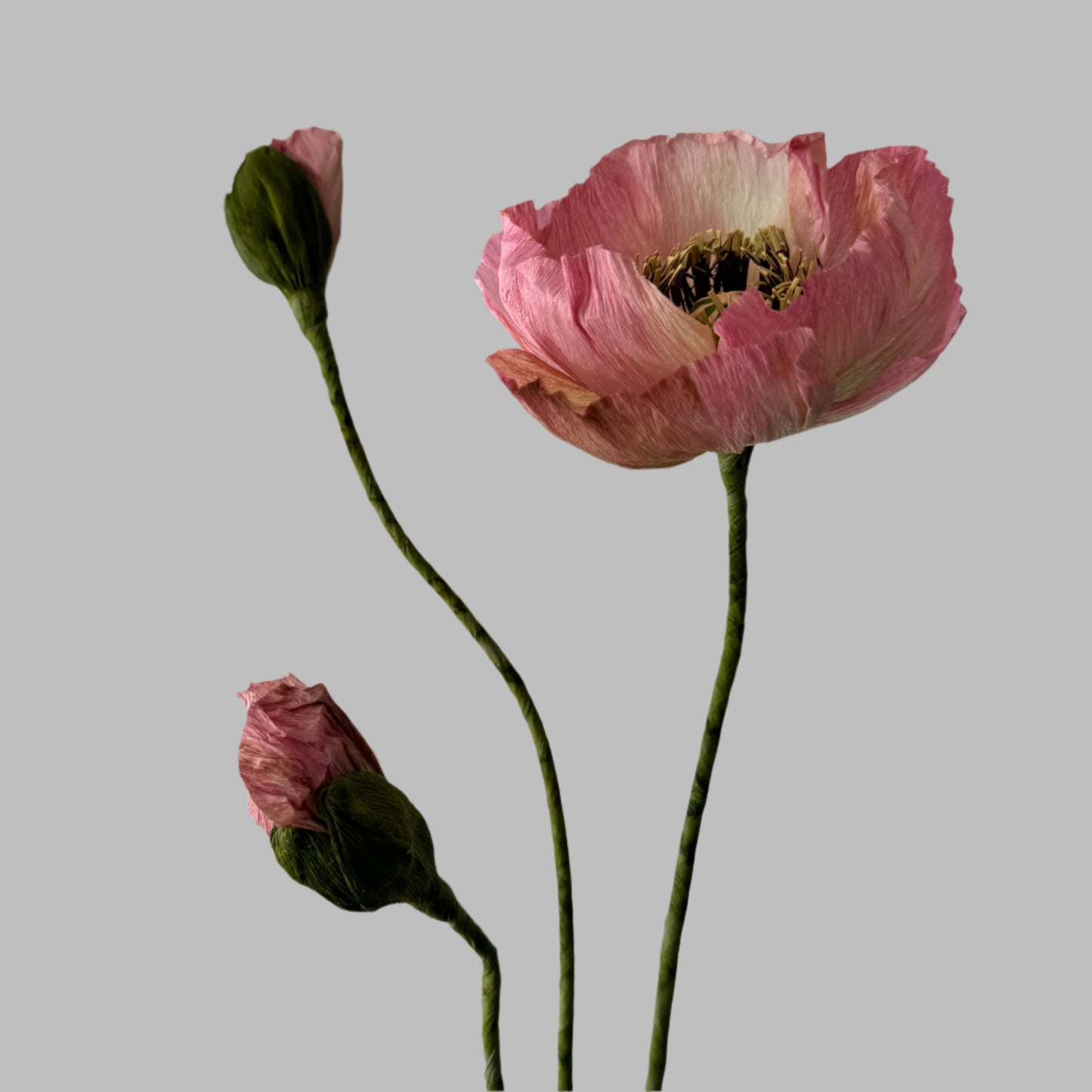 1 Poppy + 2 Buds - Pink