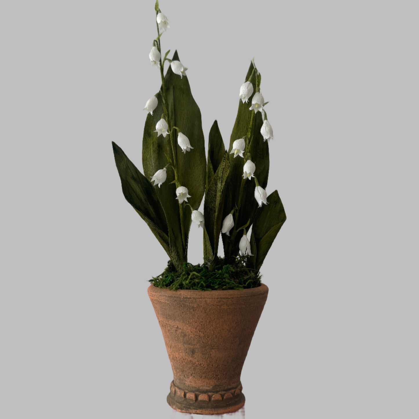 Potted Lily of the Valley